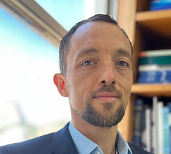 Nicolo Zingales