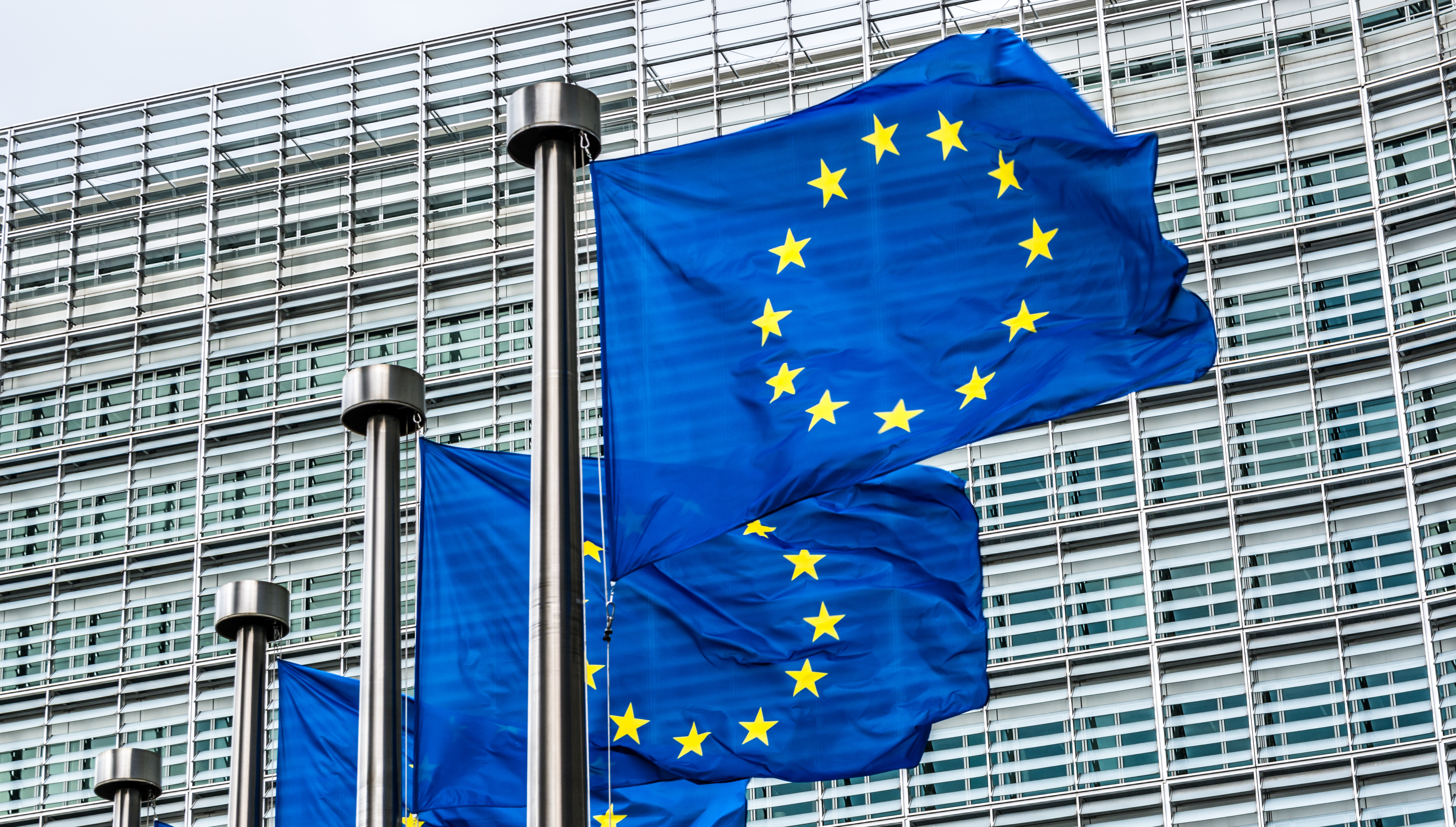 European Union flags in front of office building