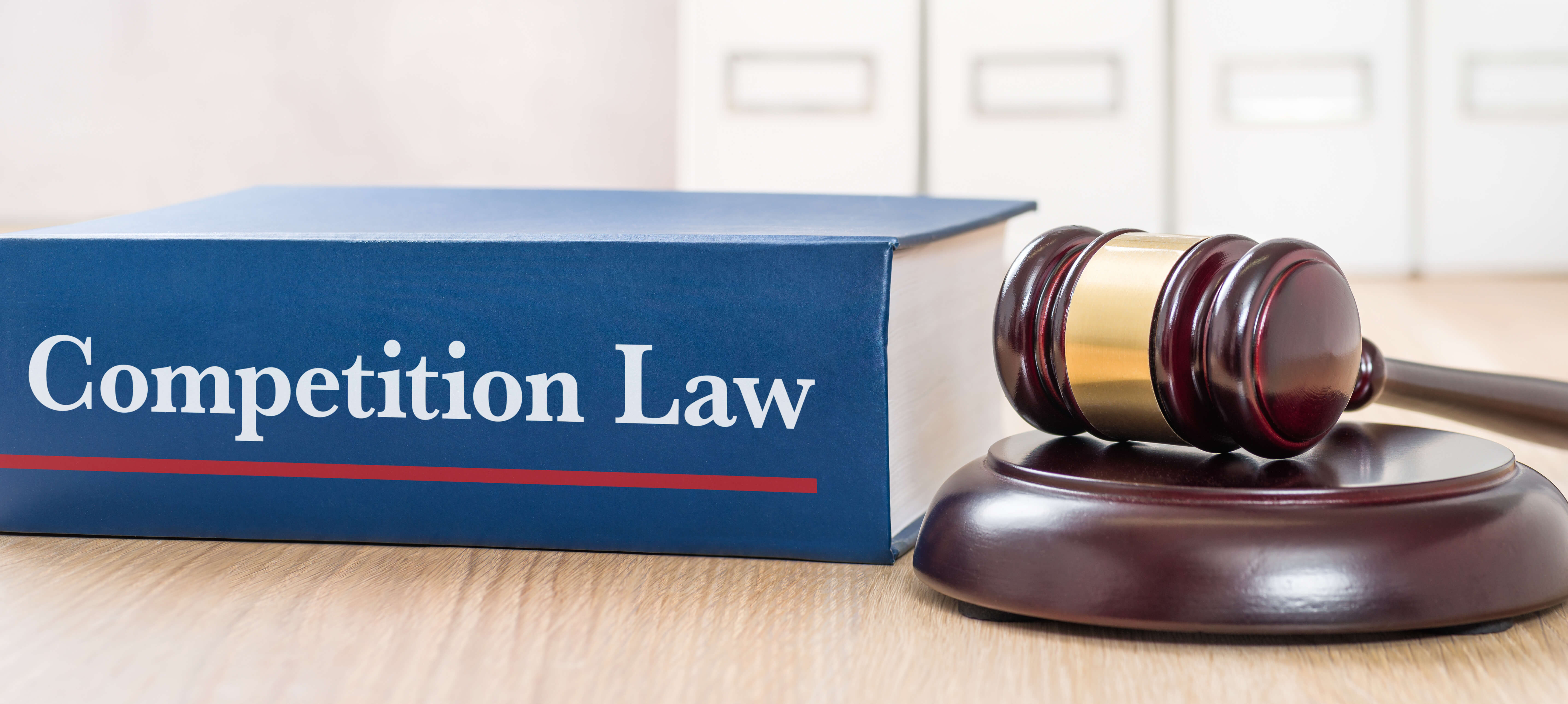 gavel and book