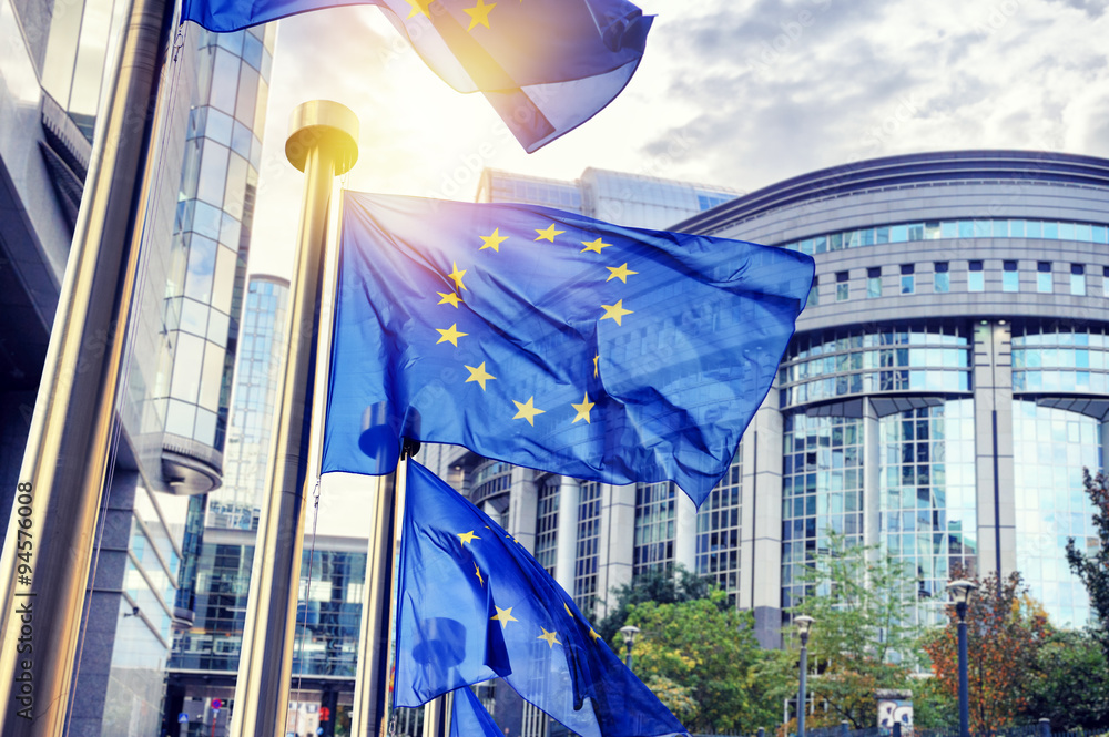 EU buildings and flags