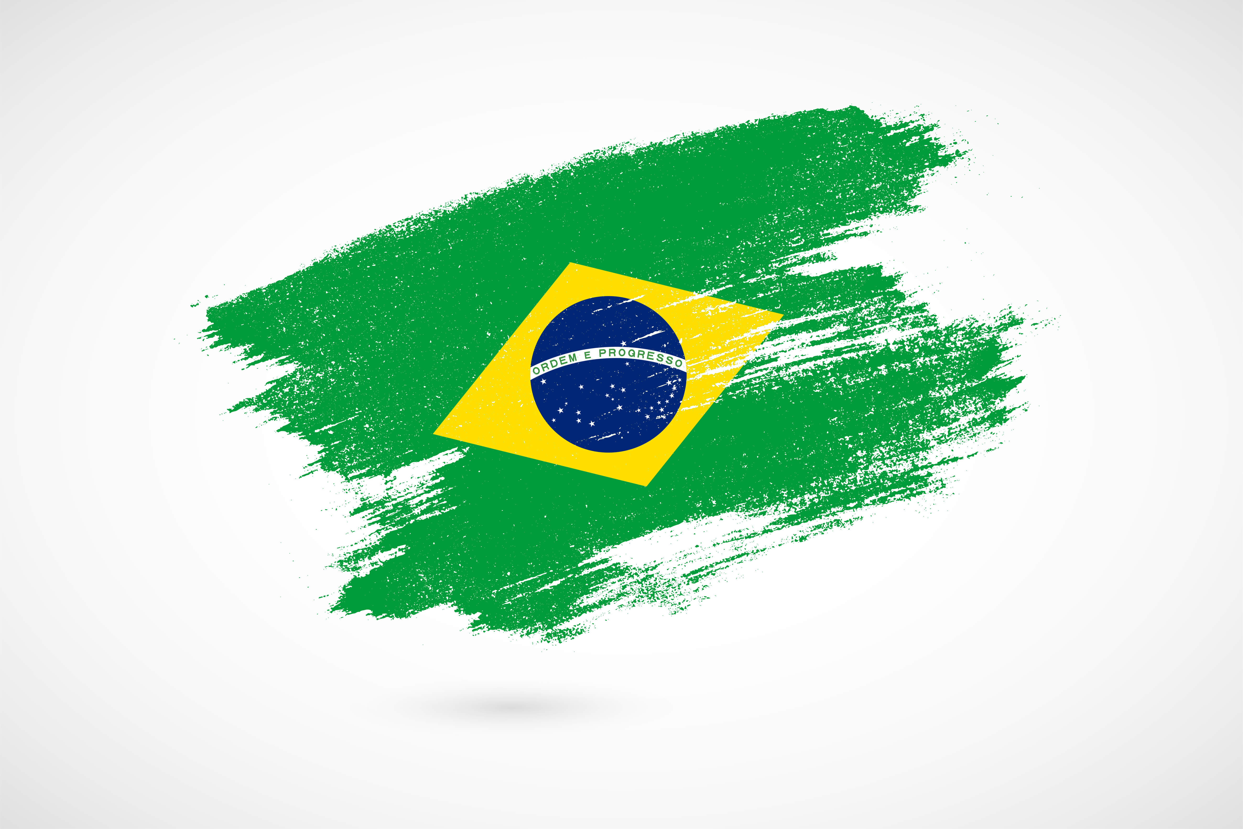 Brazilian flag in a painted style