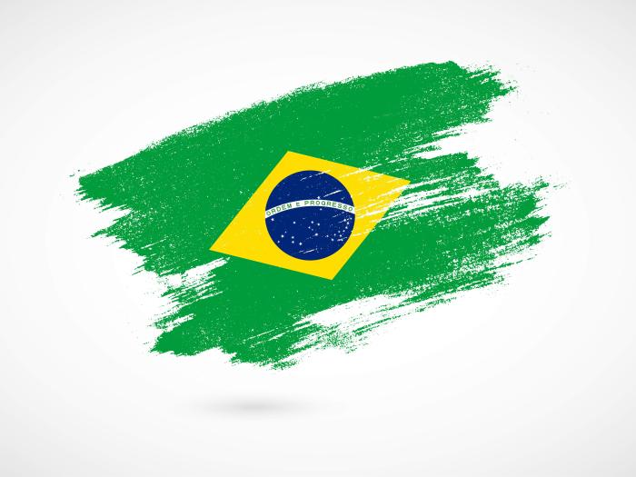 Brazilian flag in a painted style